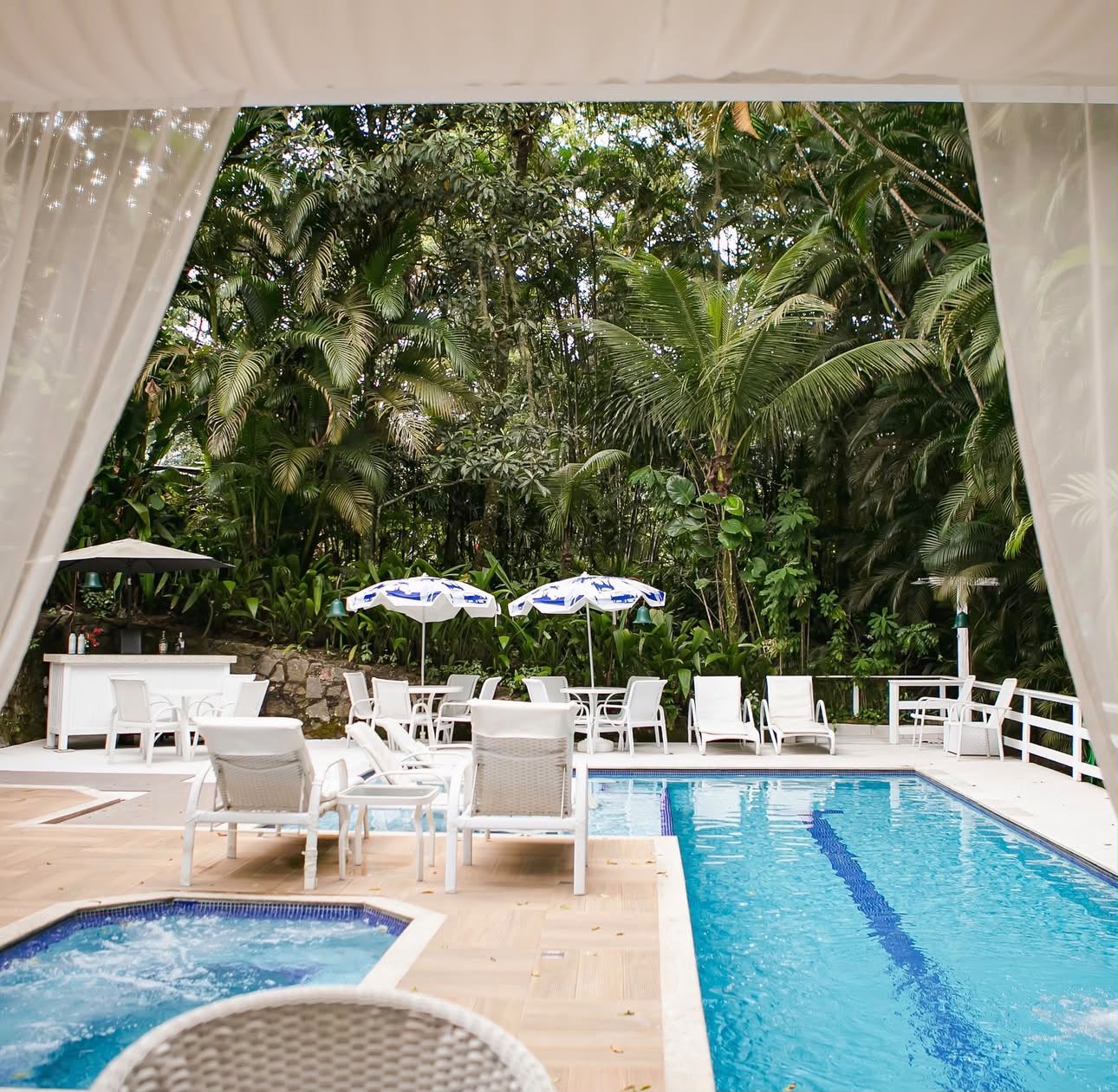 Piscine au cœur de la jungle